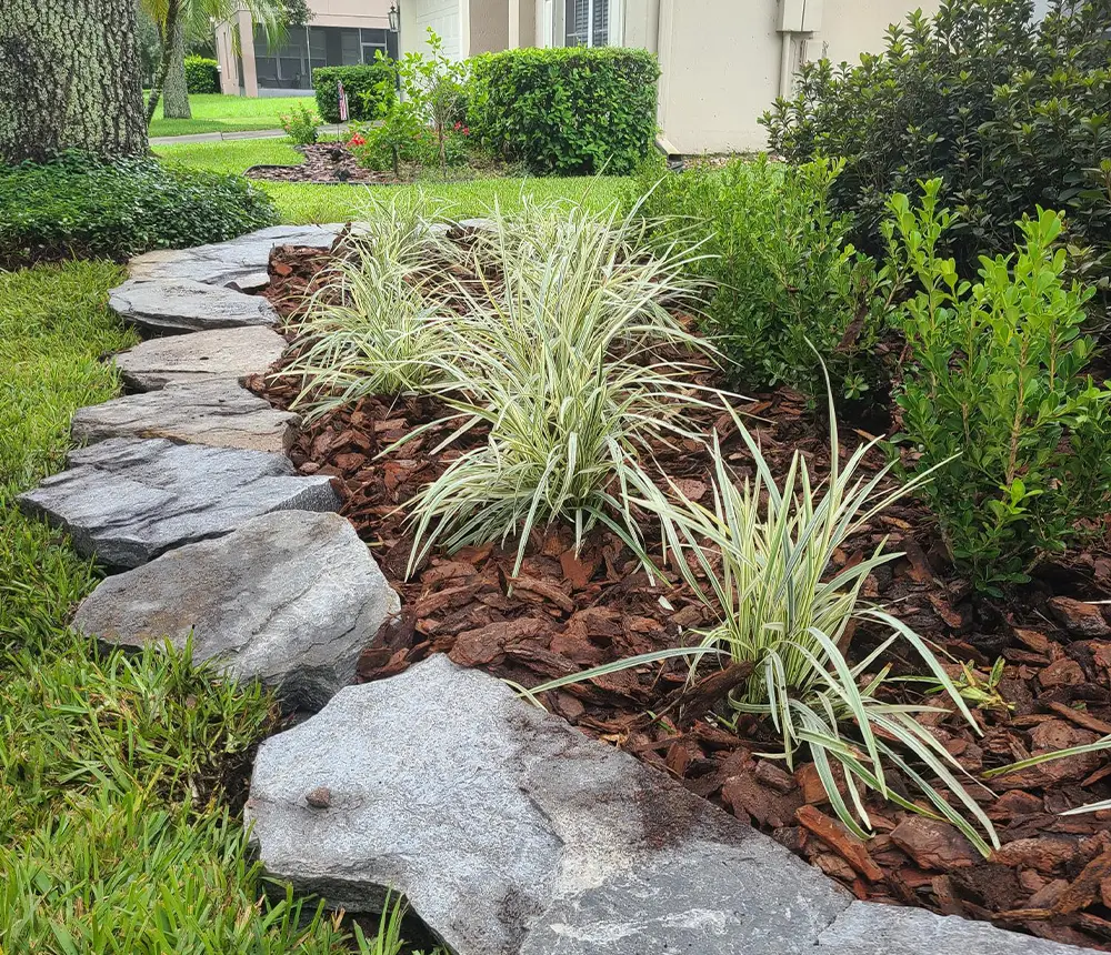 A small landscaping project for a home in Central Florida with rocks, mulch, and plants