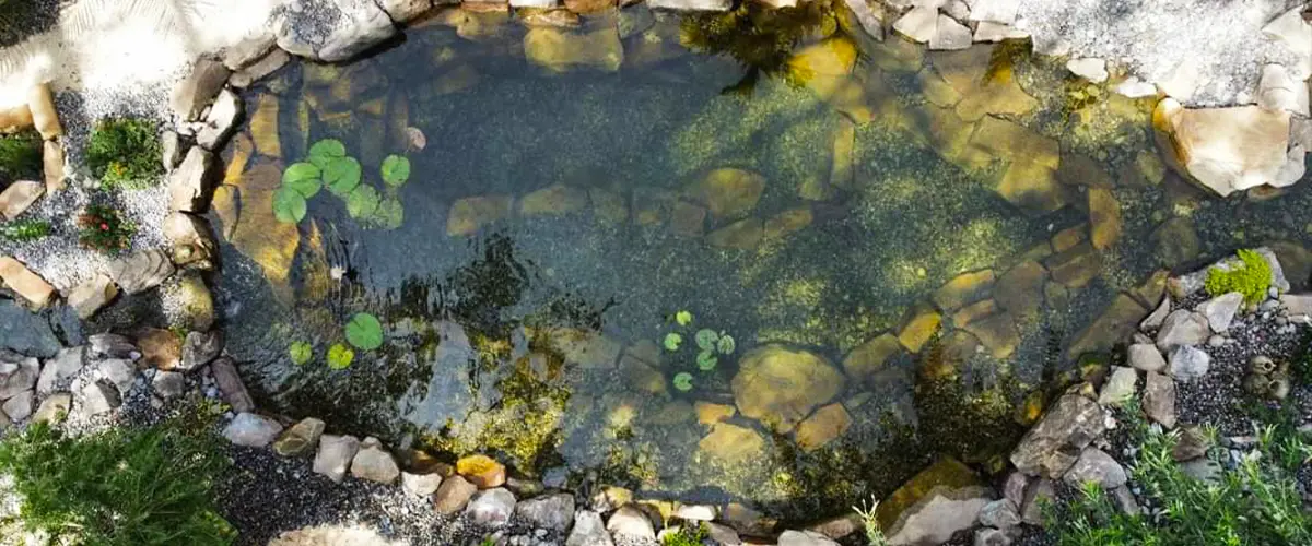 pondless waterfall vs traditional pond. Aerial view of a backyard pond with lily pads, stones, and surrounding greenery