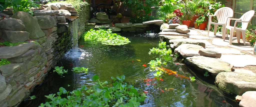 Backyard koi pond with stone waterfall surrounded by lush plants and seating area, creating a serene and peaceful garden retreat.