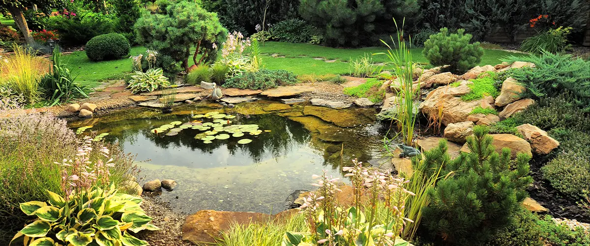 Beautiful backyard garden with a serene pond, lush greenery, rocks, and water lilies, creating a tranquil natural landscape.