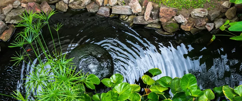 Decorative pond with fountain and gold fish in garden