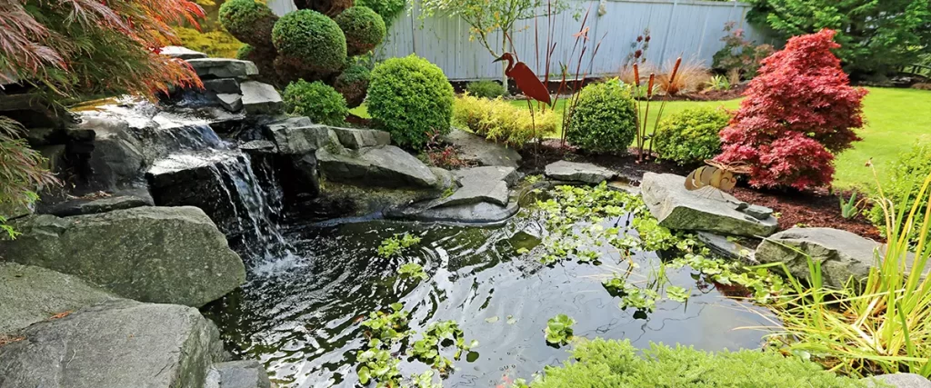 Home tropical garden with pond