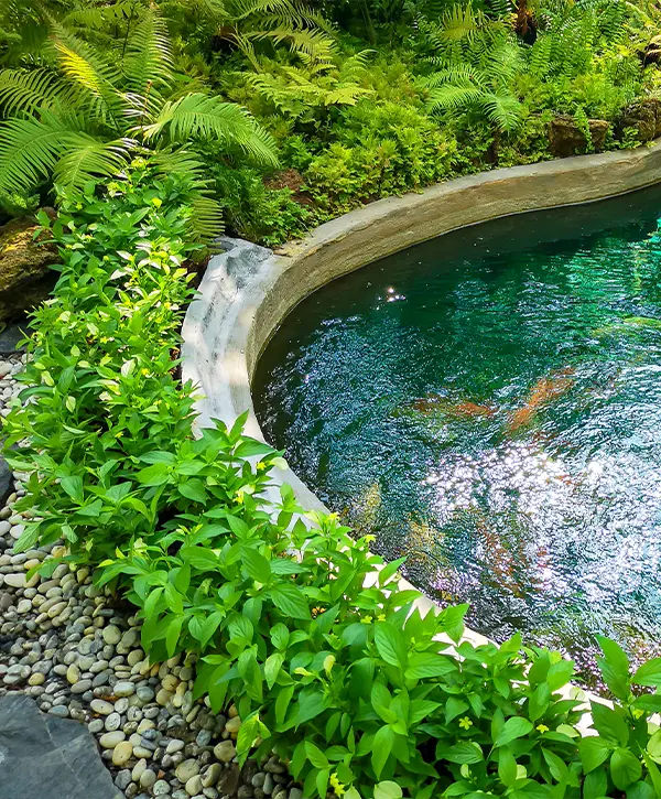 Pond Building In Casselberry, FL