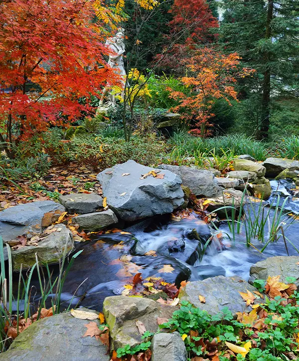 Seasonal Pond Preparation in Winter Springs, FL