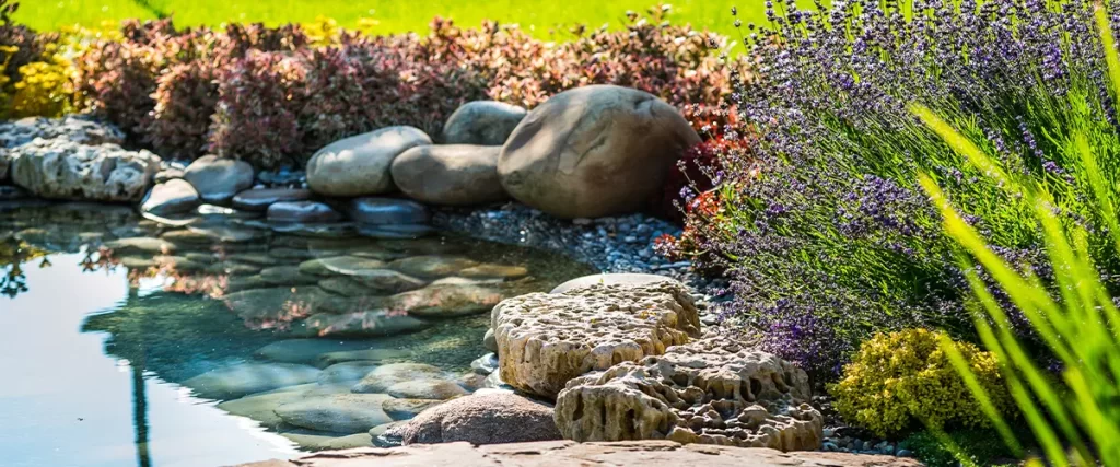 beautifully landscaped garden pond, featuring a variety of smooth, natural stones lining the edge