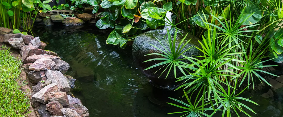 clear water pond with rocks and fountain in garden