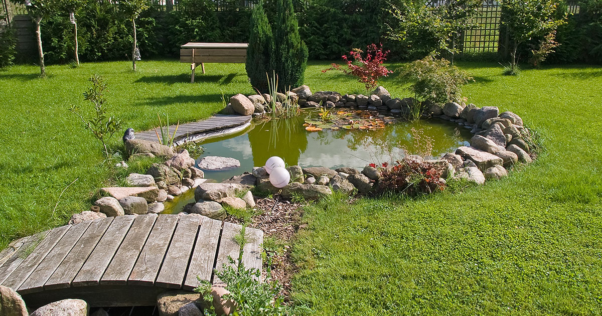 mistakes to avoid when building a backyard pond