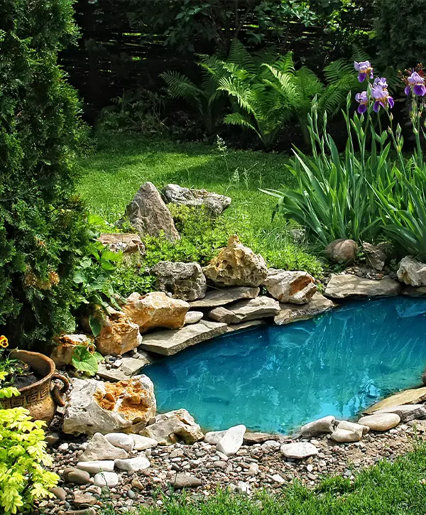 small pond in the garden