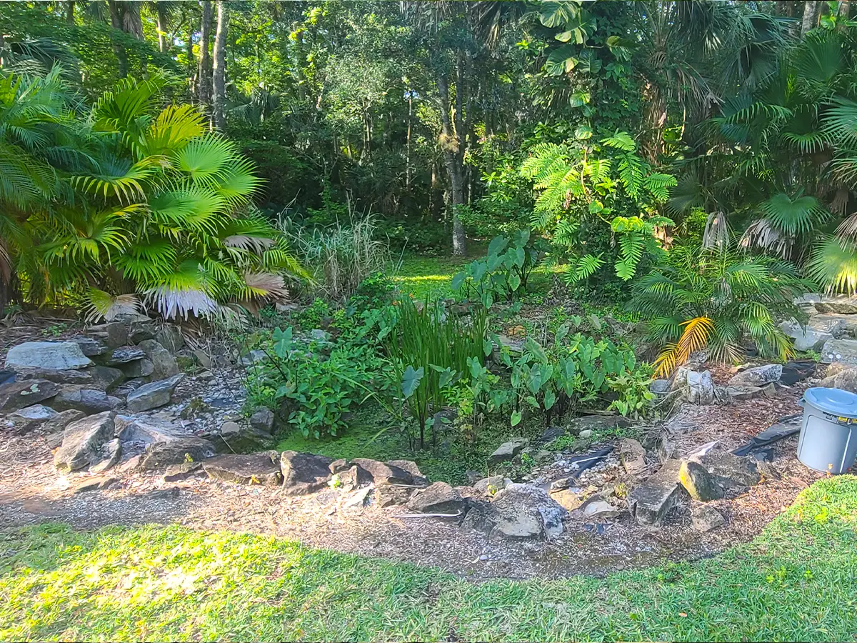 Backyard area before pondless waterfall installation, showing unlandscaped greenery and rocks ready for transformation.