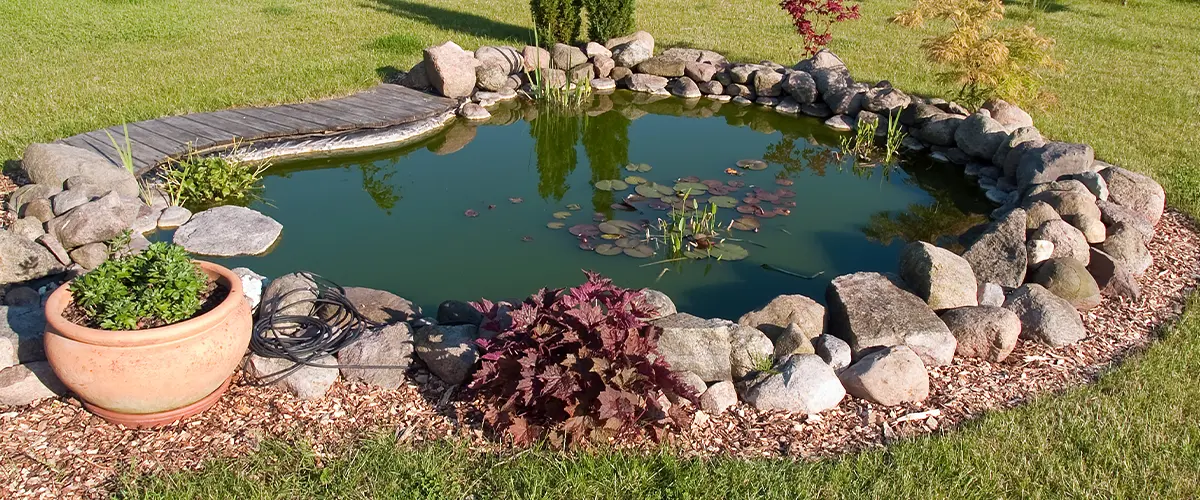 Backyard garden pond surrounded by rocks and greenery, featuring water plants and decorative landscaping.