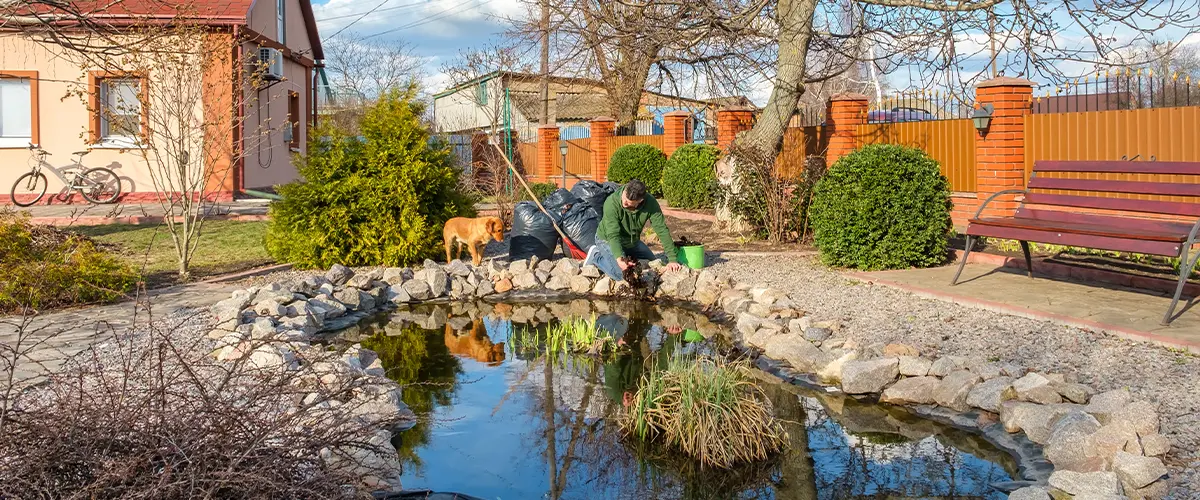 Man maintaining a backyard pond surrounded by rocks, trees, and landscaping, with a dog nearby on a sunny day.