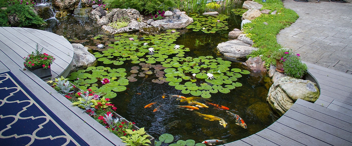 Best Pond Cleaning Company Sanford FL