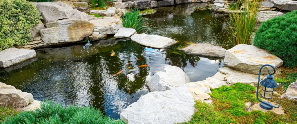 A tranquil rock garden pond with koi fish swimming among large stones and lush greenery