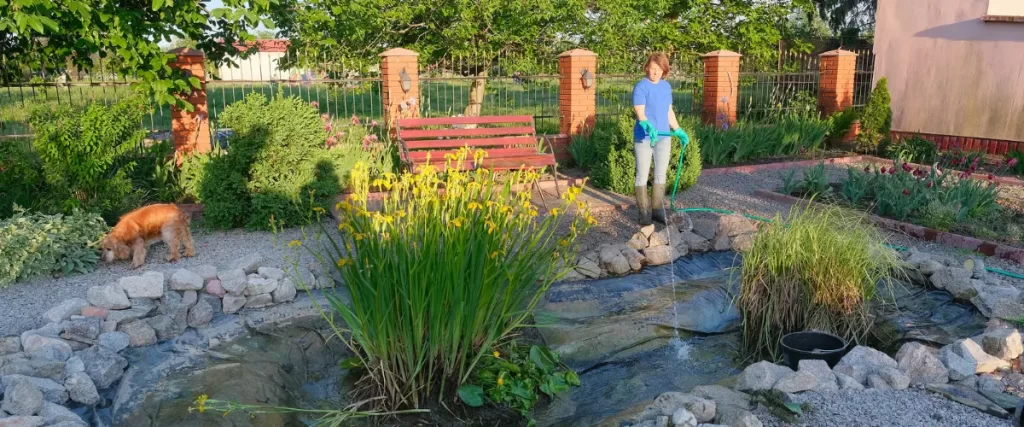 Man walking near a landscaped pond with tall grasses and a wooden bench.