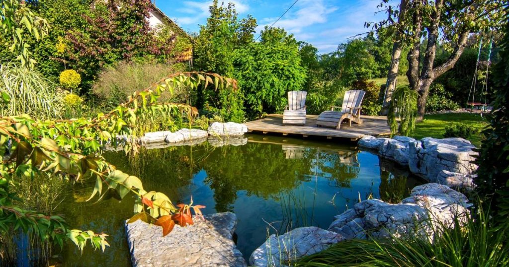Scenic pond with lush plants and stone landscaping in a sunny backyard.